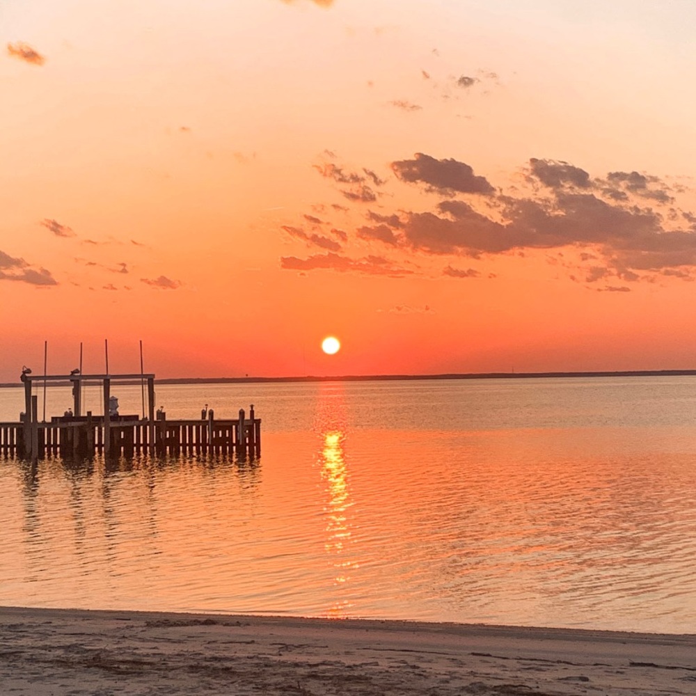 Meet your Posher, Casey